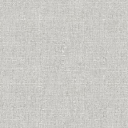 Luxury Plain Soft Silver sw6 Wallpaper