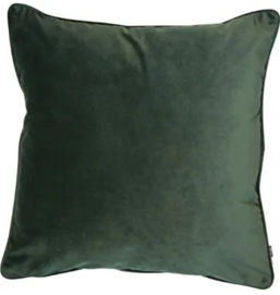 43cm Plush Velvet Cushion