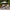 Outdoor Carpet Non-slip Machine Washable Easy To Fold Floor Mat Retro Plant Pattern Large Size Rug Balcony Living Room Courtyard