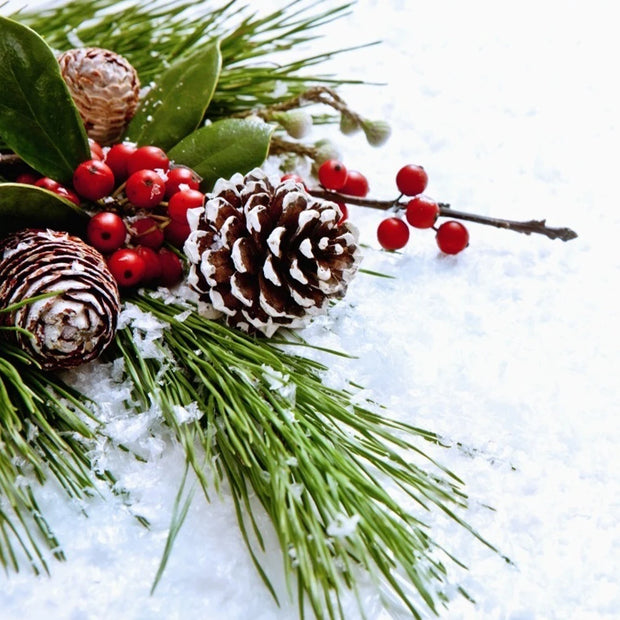 30Pcs Natural White-Tipped Pine Cone Ornaments – premium handmade décor piece for modern homes.