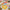 Dopamine Color Bedroom Decor Plush Fluffy Soft Cloakroom Rug Large Area Carpets for Living Room Thickend Plush Lounge Floor Mat