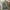 Green Retro Runner Rug – Washable Corridor Carpet for Bedroom, Bedside & Home Decor