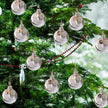 Custom Photo Feather Bottle Ornament - handmade