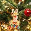 Personalised Deer Acrylic Christmas Ornament - handmade