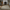Esme Wool Border Rug RUGS_and_MORE