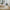Guru Hush Rug Hand Woven RUGS_and_MORE