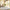 Guru Persia Rug RUGS_and_MORE