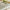 Guru Vintage Fringe Rug RUGS_and_MORE