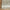 Guru Vintage Fringe Rug RUGS_and_MORE