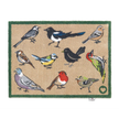 Hug Rug - Bird Watcher - handmade