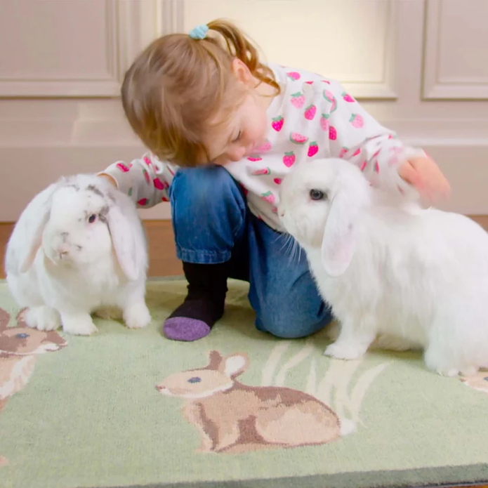 Hug Rug - Rabbit 1 - handmade