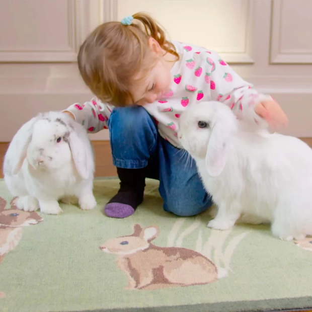 Hug Rug - Rabbit 1 - handmade