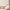 Luxe Texture Pearl Wallpaper Neutral RUGS_and_MORE 299100