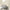 Luxe Texture Pearl Wallpaper Neutral RUGS_and_MORE 299100