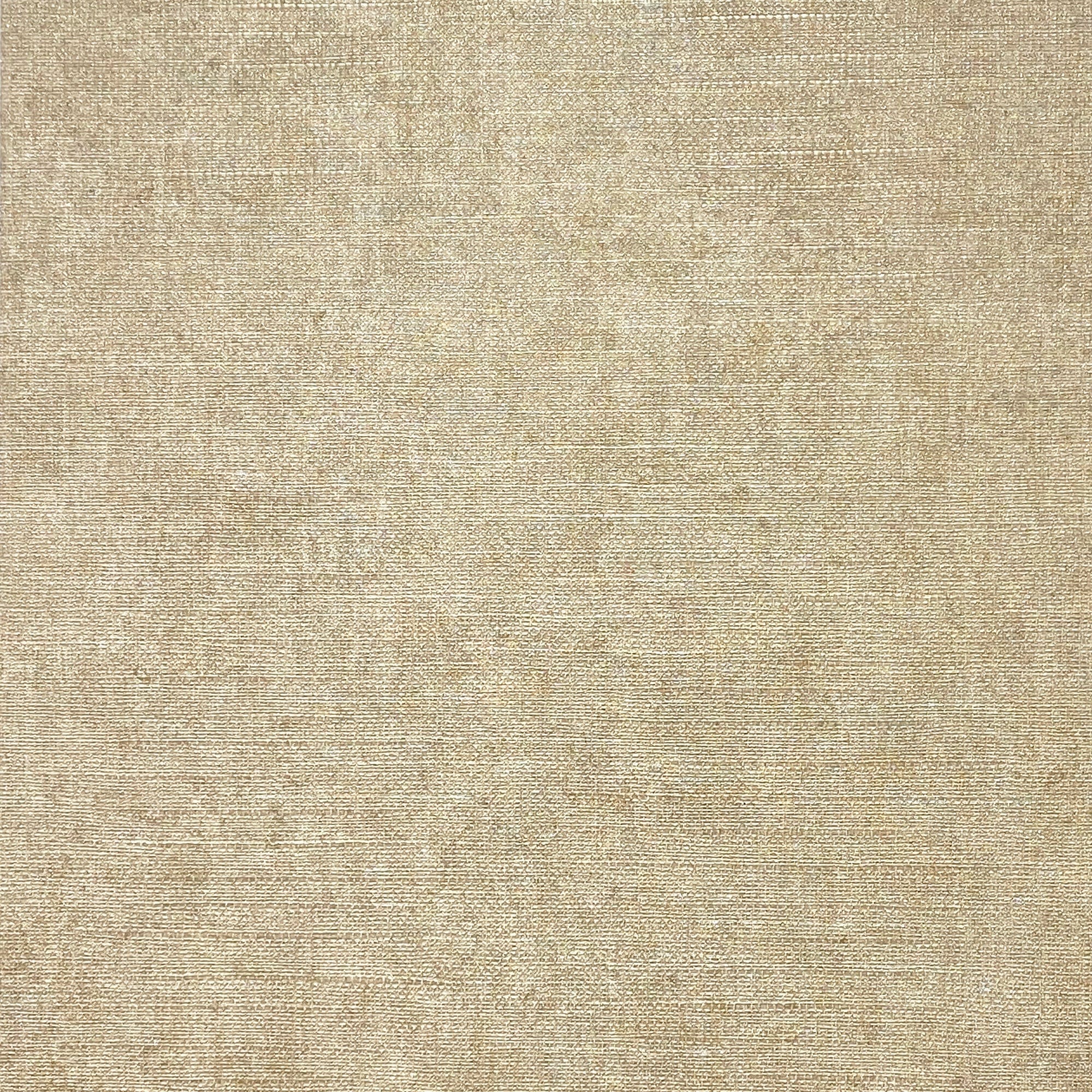 Luxury Plain Champagne Wallpaper Champagne RUGS_and_MORE 299306