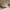Luxury Plain Champagne Wallpaper Champagne RUGS_and_MORE 299306
