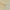 Luxury Plain Champagne Wallpaper Champagne RUGS_and_MORE 299306