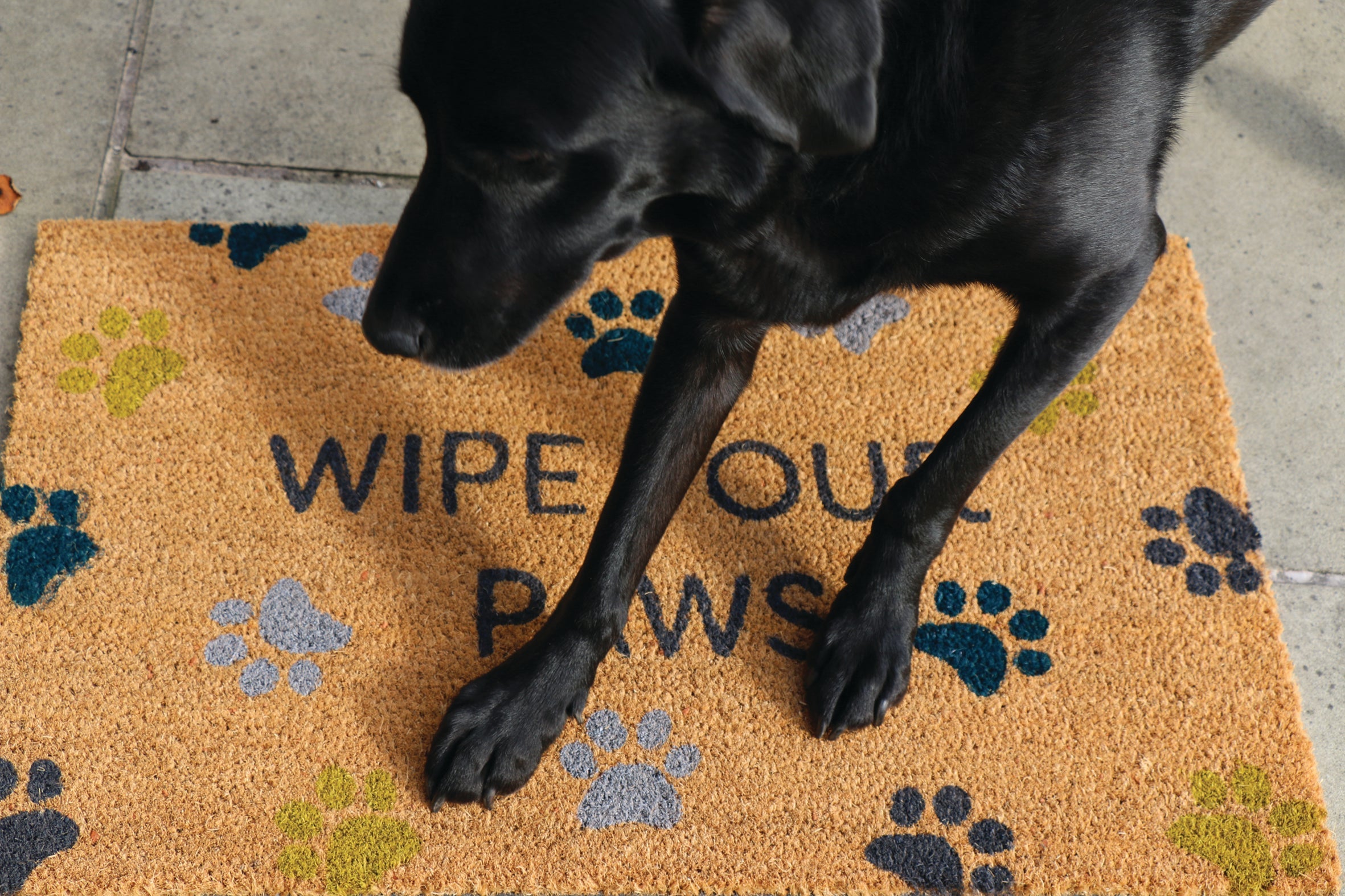 My Mat Coir - Wipe Your Paws - handmade
