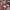 Origins 3D Geo Shaggy Rug rugs RUGS_and_MORE