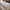 Origins Alexandra Rug Rugs RUGS_and_MORE