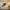 Origins Berber Rug Woven Tufted Rug RUGS_and_MORE