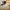 Origins Berber Rug Woven Tufted Rug RUGS_and_MORE