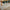 Origins Cable Knit Rug RUGS_and_MORE