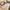 Origins Chunky Knit Rug Hand Woven RUGS_and_MORE