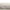 Origins Extravagance Rug shaggy, plain, modern RUGS_and_MORE