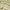 Origins Heritage 2 Rug patterned, wool, traditional, RUGS_and_MORE