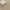 Origins Sisal Rug Woven & Latex Backed RUGS_and_MORE