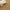 Origins Sisal Rug Woven & Latex Backed RUGS_and_MORE