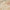 Origins TeePee Rug Printed Carpet with cotton backing 120x170 cm / Multi-colour / 100% Polyester RUGS_and_MORE 5026134593404