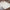 Origins Washable Faux Fur Rug Tufted RUGS_and_MORE