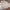 Origins Washable Faux Fur Rug Tufted RUGS_and_MORE
