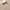 Origins Washable Faux Fur Rug Tufted RUGS_and_MORE