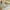 Guru Vintage Fringe Rug RUGS_and_MORE